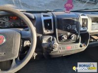 Fiat DUCATO DUCATO | Bus Minibus | Borgo Agnello S.p.A.