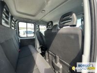 Iveco DAILY 35C14D 6+1 DAILY 35C14D 6+1 | Altro Cassone fisso | Borgo Agnello S.p.A.