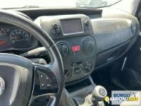 Fiat FIORINO FIORINO | Leggero Furgone > 35 q.li Altro | Borgo Agnello S.p.A.