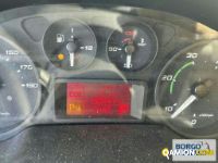 Iveco DAILY 35S17 | Leggero Furgone > 35 q.li Altro | Borgo Agnello S.p.A.