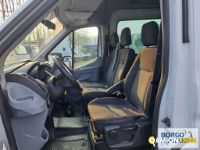 Ford TRANSIT TRANSIT | Bus Minibus | Borgo Agnello S.p.A.