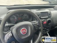 Fiat FIORINO FIORINO | Leggero Furgone > 35 q.li Altro | Borgo Agnello S.p.A.