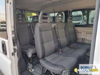 Fiat DUCATO DUCATO | Bus Minibus | Borgo Agnello S.p.A.