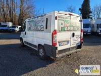 Fiat DUCATO DUCATO | Bus Minibus | Borgo Agnello S.p.A.