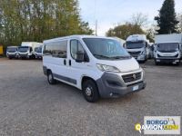 Fiat DUCATO DUCATO | Bus Minibus | Borgo Agnello S.p.A.