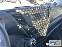 Iveco DAILY 35C14 DAILY 35C14 | Altro Cassone fisso | Borgo Agnello S.p.A.