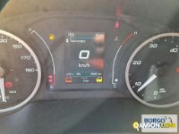 Iveco DAILY 35C14 DAILY 35C14 | Leggero Furgone > 35 q.li Altro | Borgo Agnello S.p.A.