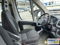Fiat DUCATO DUCATO | Altro Cassone fisso | Borgo Agnello S.p.A.