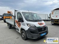 Fiat DUCATO DUCATO | Altro Cassone fisso | Borgo Agnello S.p.A.