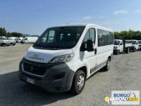 Fiat DUCATO DUCATO | Bus Minibus | Borgo Agnello S.p.A.