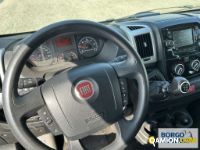 Fiat DUCATO DUCATO | Bus Minibus | Borgo Agnello S.p.A.