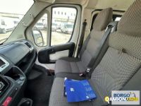 Fiat DUCATO DUCATO | Bus Minibus | Borgo Agnello S.p.A.