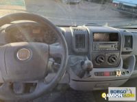 Fiat DUCATO DUCATO | Bus Minibus | Borgo Agnello S.p.A.