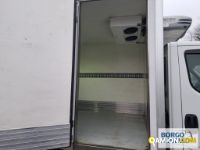 Iveco DAILY 35C16 DAILY 35C16 | Altro Isotermico / coibentato | Borgo Agnello S.p.A.