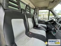 Iveco DAILY 70C17 | Motrice Isotermico / coibentato | Borgo Agnello S.p.A.