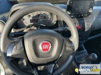 Fiat FIORINO FIORINO | Leggero Furgone > 35 q.li Altro | Borgo Agnello S.p.A.