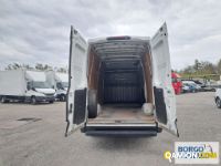 Iveco DAILY 35S16 DAILY 35S16 | Leggero Furgone > 35 q.li Altro | Borgo Agnello S.p.A.