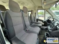 Fiat DUCATO DUCATO | Bus Minibus | Borgo Agnello S.p.A.