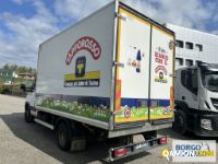 Iveco DAILY 70C17 | Motrice Isotermico / coibentato | Borgo Agnello S.p.A.