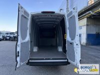 Iveco DAILY 35S16 DAILY 35S16 | Leggero Furgone > 35 q.li Altro | Borgo Agnello S.p.A.