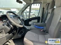 Fiat DUCATO DUCATO | Bus Minibus | Borgo Agnello S.p.A.