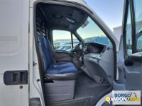 Iveco DAILY 35S16 DAILY 35S16 | Leggero Furgone > 35 q.li Altro | Borgo Agnello S.p.A.
