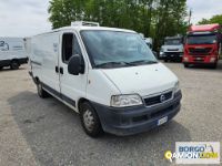 Fiat DUCATO DUCATO | Altro Isotermico / coibentato | Borgo Agnello S.p.A.