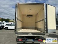 Iveco DAILY 70C17 | Motrice Isotermico / coibentato | Borgo Agnello S.p.A.