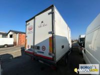 Iveco DAILY 60C17 DAILY 60C17 | Altro Isotermico / coibentato | Borgo Agnello S.p.A.