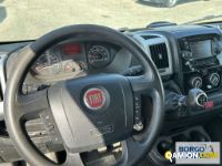 Fiat DUCATO DUCATO | Bus Minibus | Borgo Agnello S.p.A.