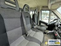 Fiat DUCATO DUCATO | Altro Cassone fisso | Borgo Agnello S.p.A.