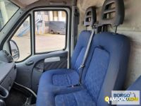 Fiat DUCATO DUCATO | Altro Isotermico / coibentato | Borgo Agnello S.p.A.