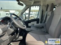 Fiat DUCATO DUCATO | Bus Minibus | Borgo Agnello S.p.A.
