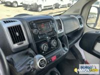 Fiat DUCATO DUCATO | Bus Minibus | Borgo Agnello S.p.A.