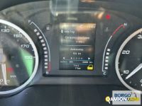 Iveco DAILY 35S14 DAILY 35S14 | Leggero Furgone > 35 q.li Altro | Borgo Agnello S.p.A.
