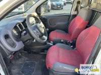 Fiat PANDA PANDA | Leggero Furgone > 35 q.li Altro | Borgo Agnello S.p.A.