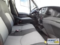 Iveco DAILY daily 70c17 | Motrice Isotermico / coibentato | Borgo Agnello S.p.A.