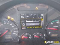 Iveco AS440S51T/P AS440S51T/P | Altro Altro | SOCOM NUOVA S.R.L