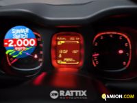 Fiat PANDA 1.0 Hybrid 70CV Street 4p.ti (IVA ESCLUSA) | Altro Altro | Rattix Srl