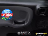 Fiat PANDA 1.0 Hybrid 70CV Street 4p.ti (IVA ESCLUSA) | Altro Altro | Rattix Srl