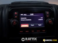 Opel MOVANO 2.2 Bluehdi 140CV Edition L2H2 (IVA ESCLUSA) | Altro Altro | Rattix Srl