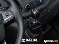 Ford TRANSIT 350 2.0 TDCI 170CV Trend L3H2 RWD (IVA ESCLUSA) | Altro Altro | Rattix Srl