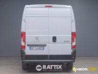 Peugeot BOXER 435 2.2 BlueHDI 140CV Affaire L2H2 N1 Autocarro (IVA ESCLUSA) | Altro Altro | Rattix Srl