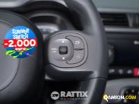 Fiat PANDA 1.0 Hybrid 70CV Street 4p.ti (IVA ESCLUSA) | Altro Altro | Rattix Srl