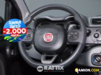 Fiat PANDA 1.0 Hybrid 70CV Street 4p.ti (IVA ESCLUSA) | Altro Altro | Rattix Srl