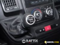 Opel MOVANO 2.2 Bluehdi 140CV Edition L2H2 (IVA ESCLUSA) | Altro Altro | Rattix Srl