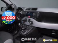 Fiat PANDA 1.0 Hybrid 70CV Street 4p.ti (IVA ESCLUSA) | Altro Altro | Rattix Srl