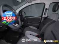 Fiat PANDA 1.0 Hybrid 70CV Street 4p.ti (IVA ESCLUSA) | Altro Altro | Rattix Srl