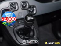Fiat PANDA 1.0 Hybrid 70CV Street 4p.ti (IVA ESCLUSA) | Altro Altro | Rattix Srl