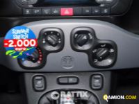 Fiat PANDA 1.0 Hybrid 70CV Street 4p.ti (IVA ESCLUSA) | Altro Altro | Rattix Srl
